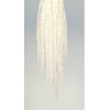 AMARANTHUS HANGING PRESERVED Bleached (BULK)- OUT OF STOCK